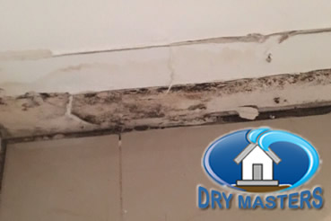 Mold removal in Pembroke Pines